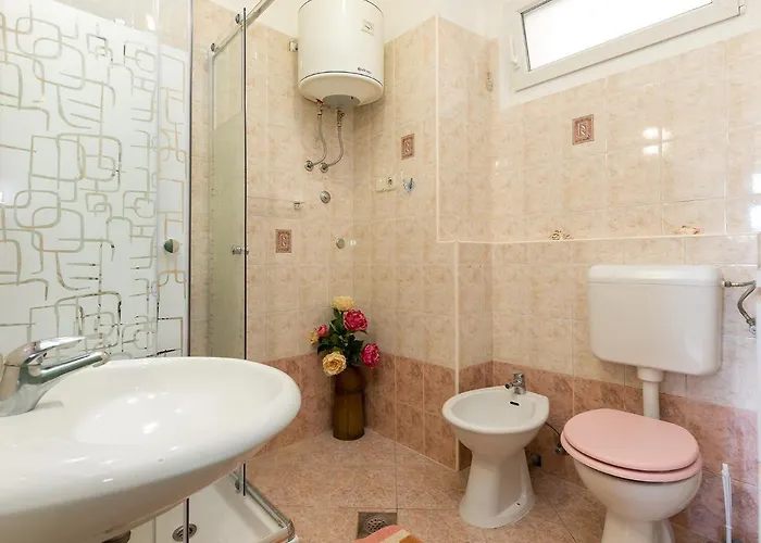 Guest house Susnjic 2*