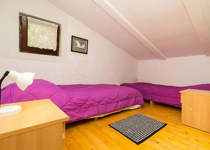 Susnjic Guest house 2*