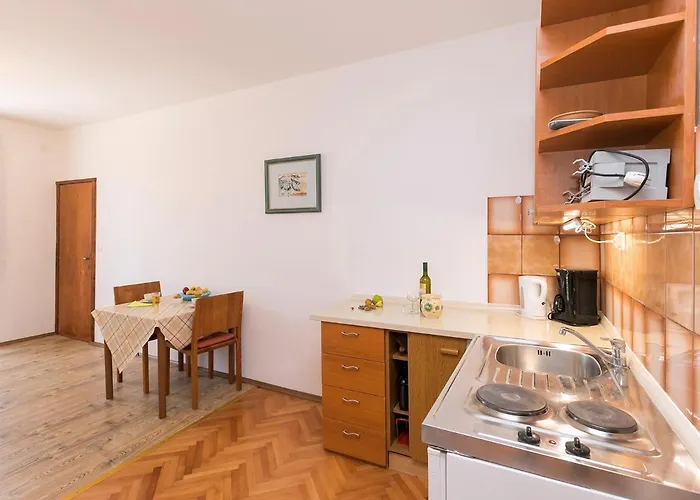 Susnjic Guest house 2*