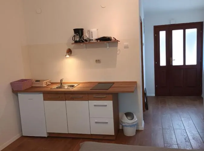 Susnjic Guest house 2*